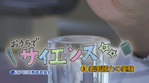 おうちでサイエンス  ③表面張力の実験