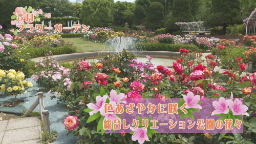 色あざやかに咲く総合レクリエーション公園の花々