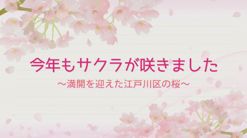 今年もサクラが咲きました ～満開を迎えた江戸川区の桜～