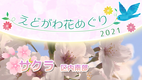 えどがわ花めぐり2021 サクラ～区内南部～