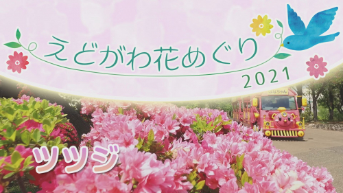 えどがわ花めぐり2021 ツツジ