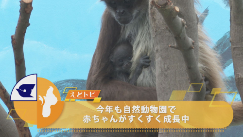 今年も自然動物園で赤ちゃんがすくすく成長中