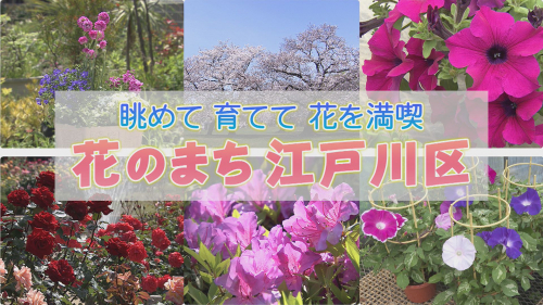 眺めて 育てて 花を満喫　花のまち江戸川区