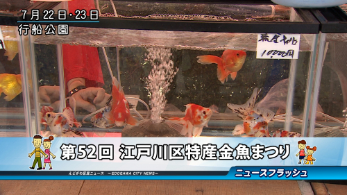 第52回 江戸川区特産金魚まつり