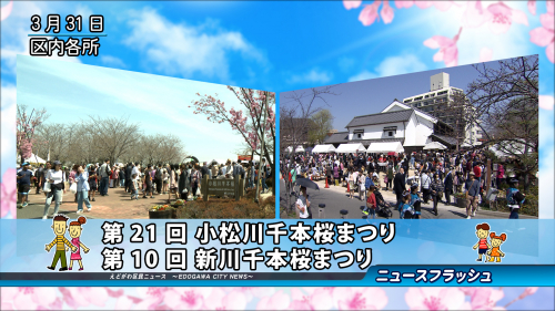 第21回 小松川千本桜まつり･第10回 新川千本桜まつり