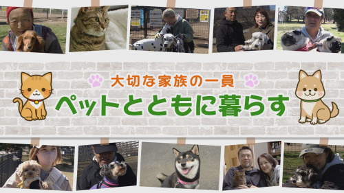 大切な家族の一員 ペットとともに暮らす